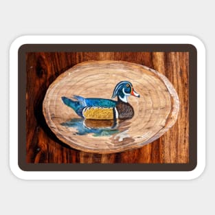Wood Duck Reflections Sticker